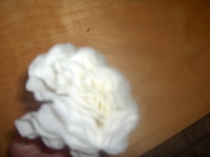 Doesn't it look like a real carnation?